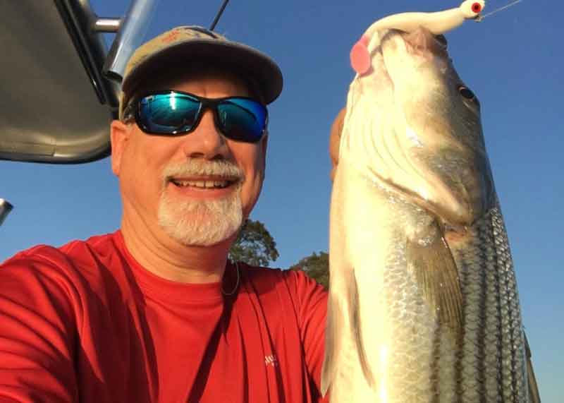 chesapeake bay rockfish