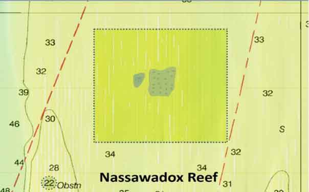 reef fishing close up map