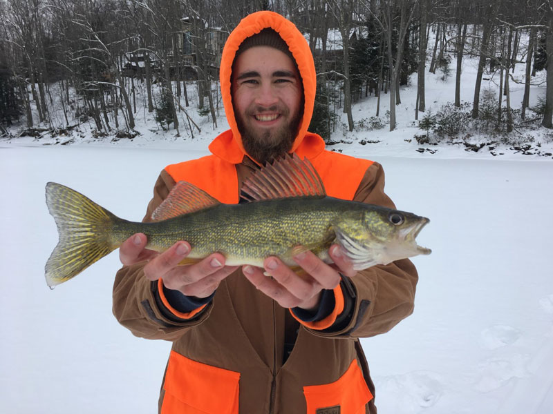 winter walleye