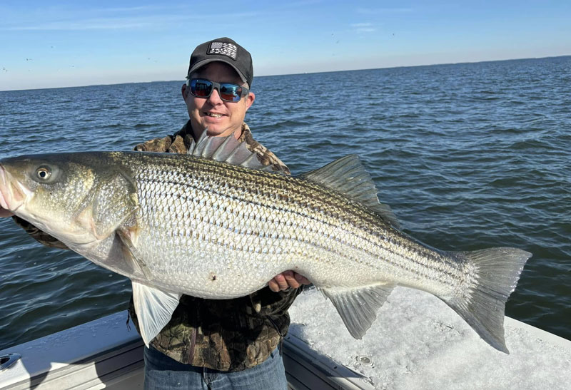 walleye pete with a huge rockfish