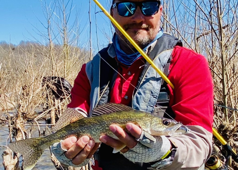 angler with a river walleye