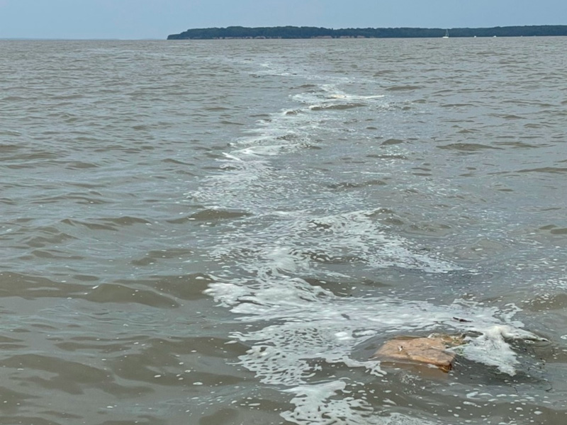 chesapeake flotsam