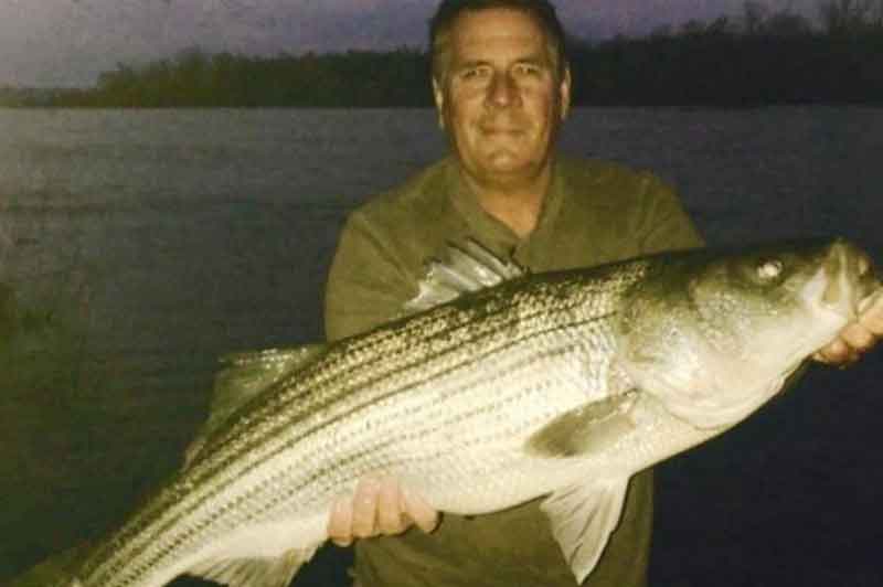 huge rockfish in the susquehanna