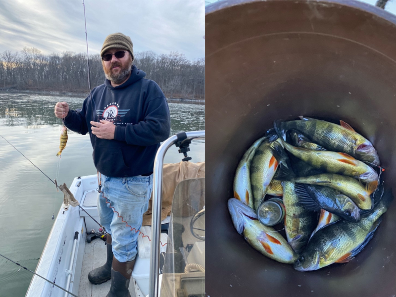 perch at perryville