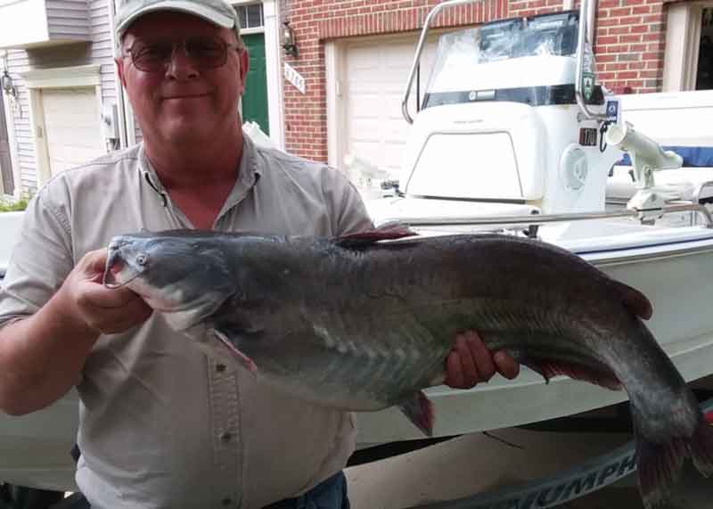 angler with a catfish