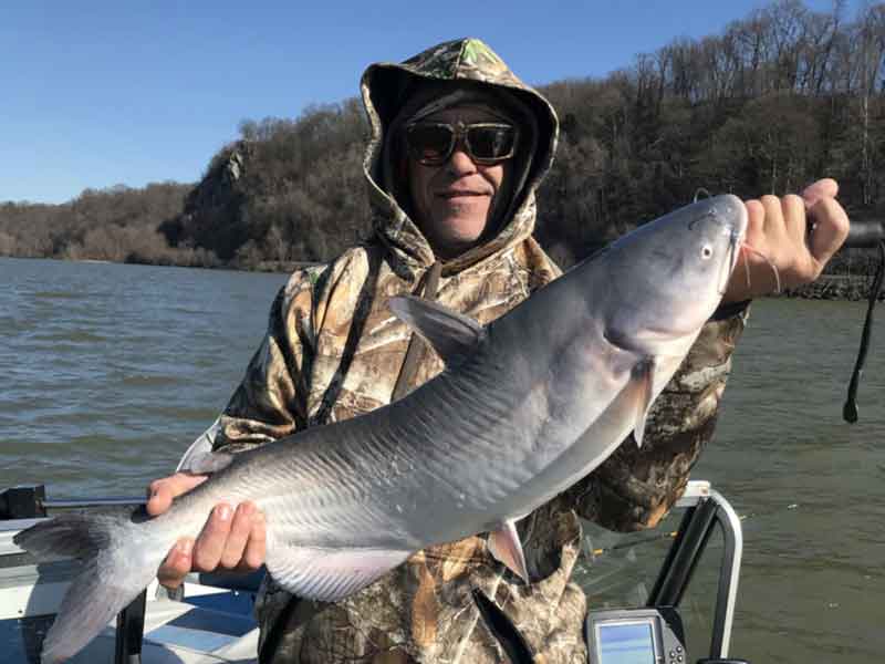 big blue catfish in susquehanna