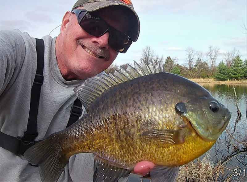 angler with a huge bluegill