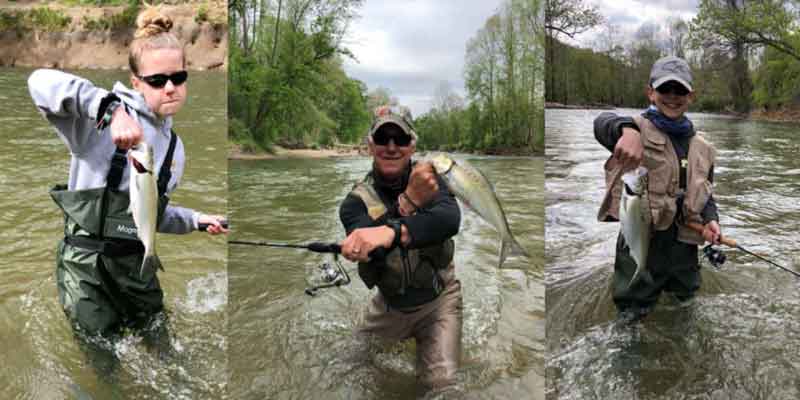 shad fishing