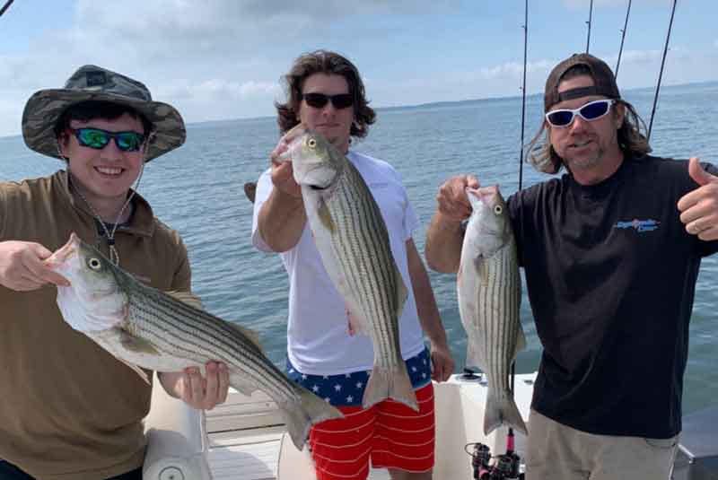 anglers with rockfish caught on susquehanna flats
