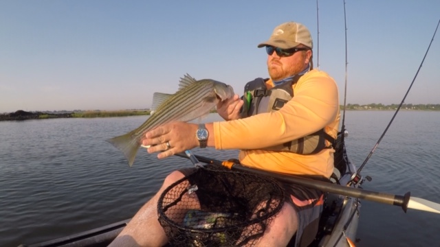 kayak fishing for striped bass