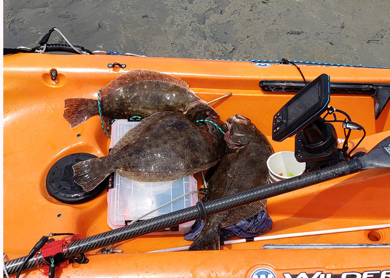 flounder fishing on a kayak