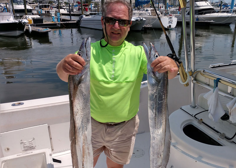 ribbonfish caught in virginia