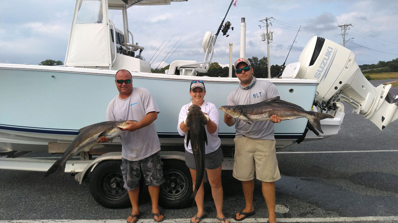 cobia fishermen and their catch