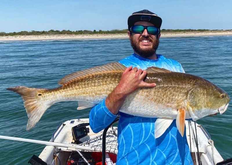 giant redfish