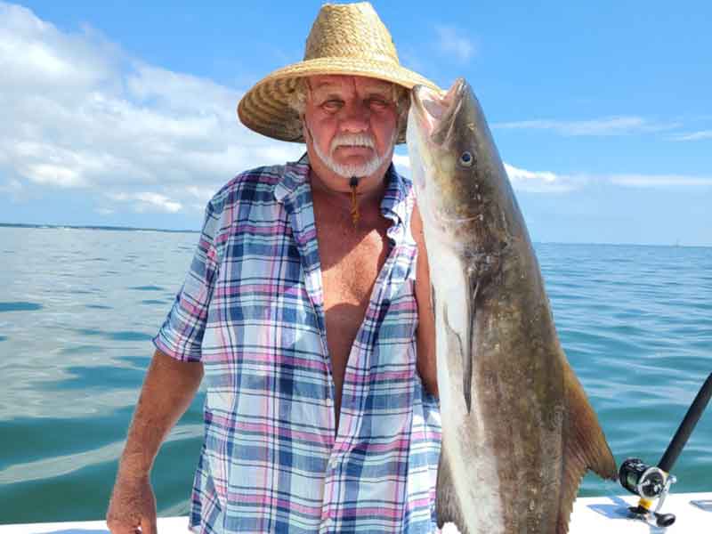 angler holds up a cobia