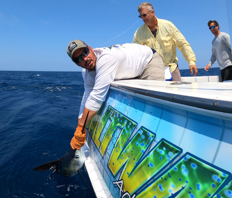 angler fishing offshore with white marlin