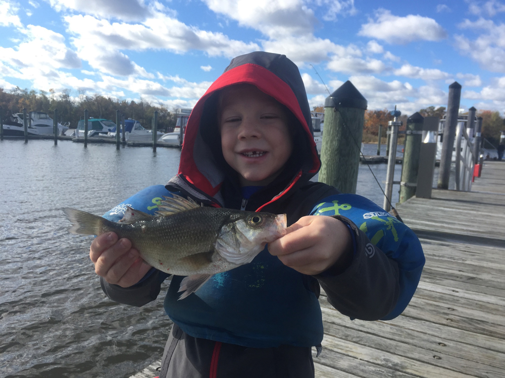 fishing for white perch in chesapeake bay