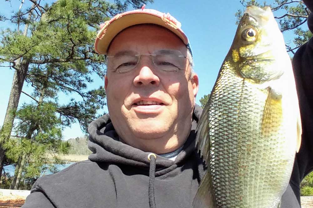 catching white perch