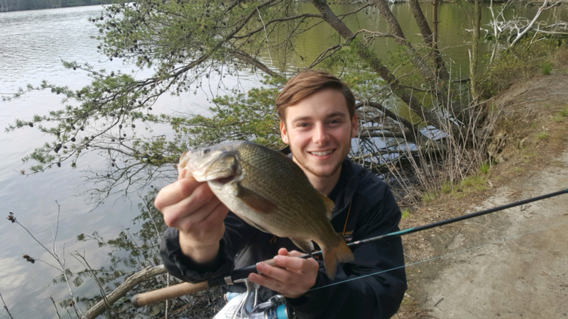 white perch fishing in a pond
