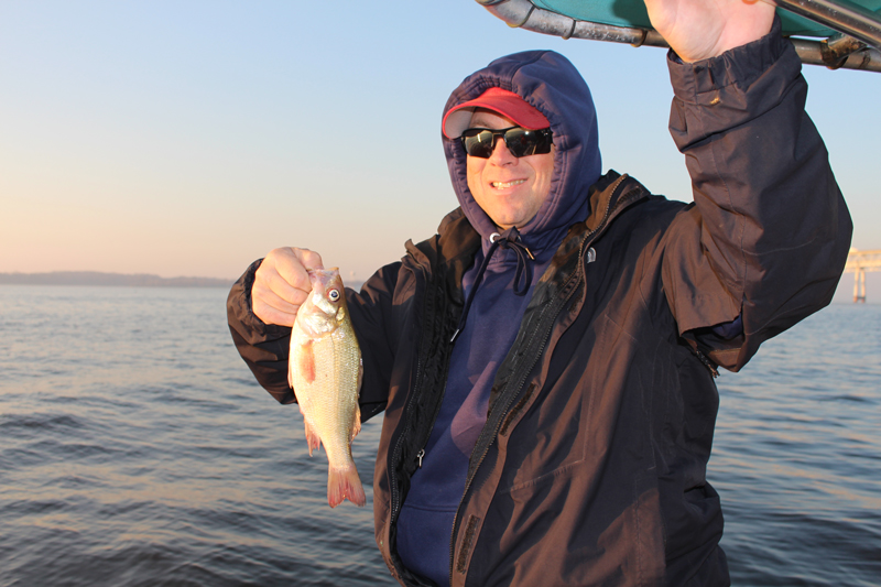 white perch at bridge