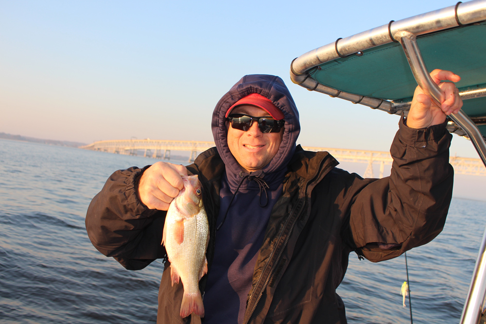 fishing for white perch in chesapeake bay