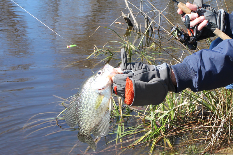 winter fishing