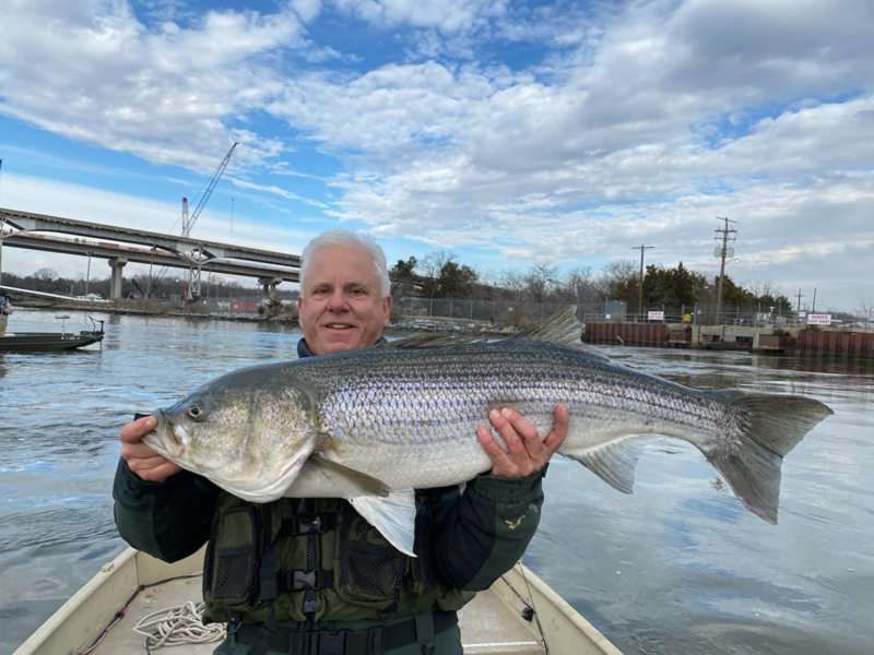 rockfish caught in january in the potomac river