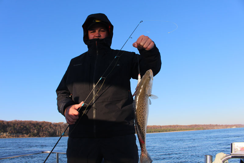 calvert cliffs winter speckled trout