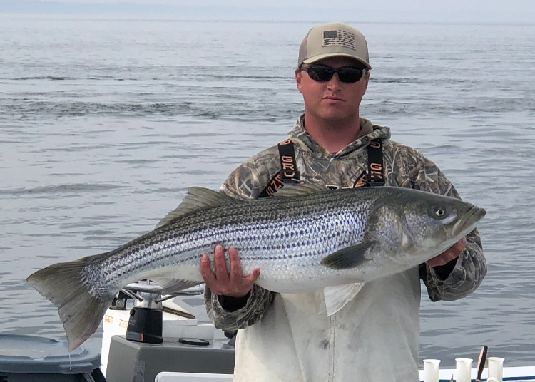 rockfish caught in winter