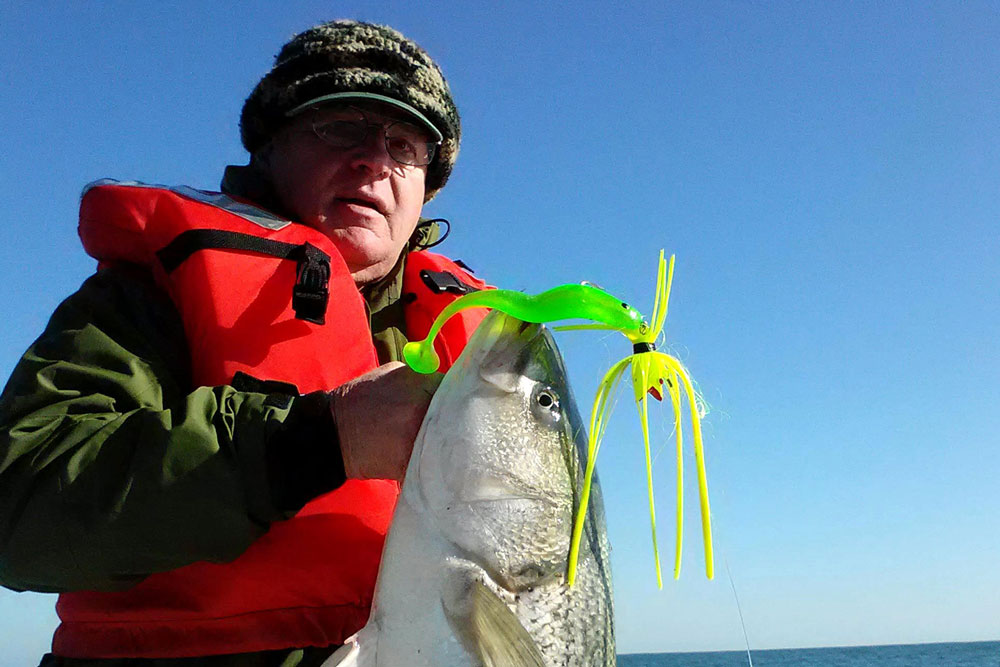 striper fishing in winter