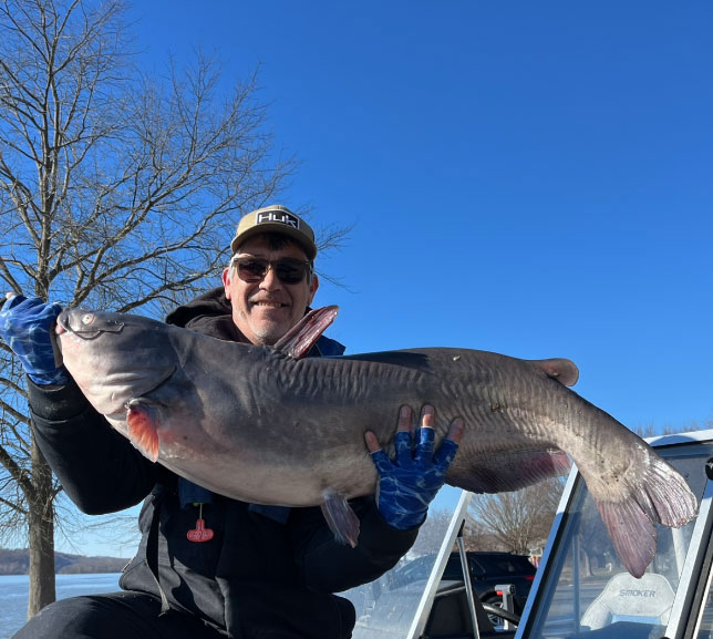 susquehanna catfish