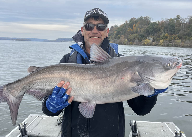 blue catfish in the susquehanna