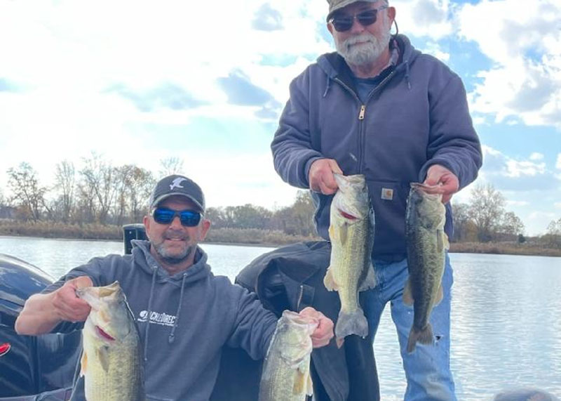 largemouth bass in the chesapeake