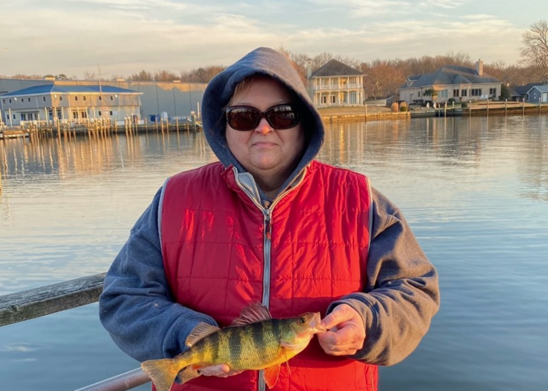 caught yellow perch from a pier