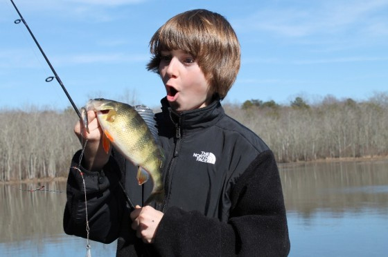 fishing for yellow perch