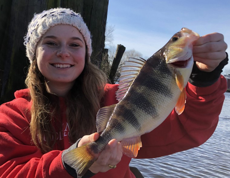 fishing for yellow perch