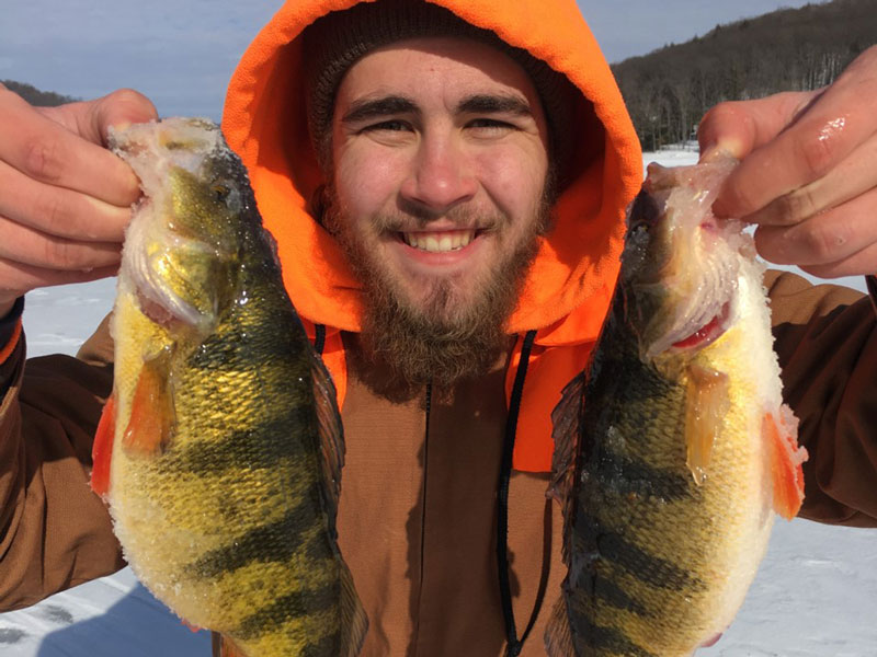 ice fishing for yellow perch