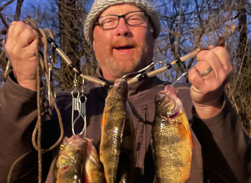 yellow perch run in maryland