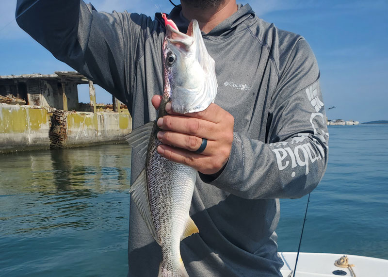 weakfish in the bay