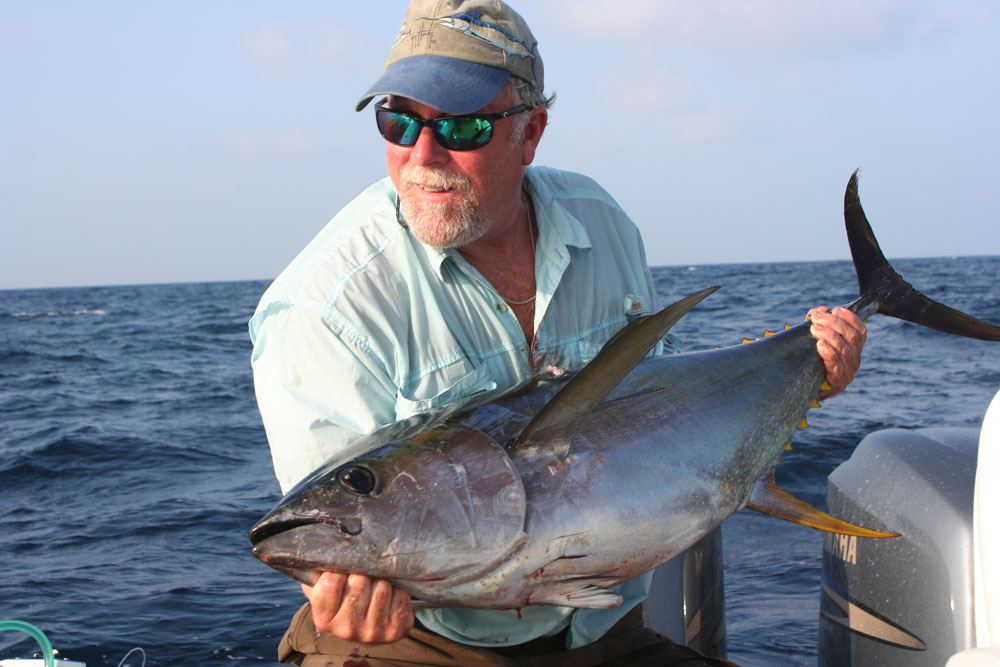 yellowfin tuna