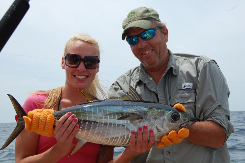 yellowfin tuna caught trolling